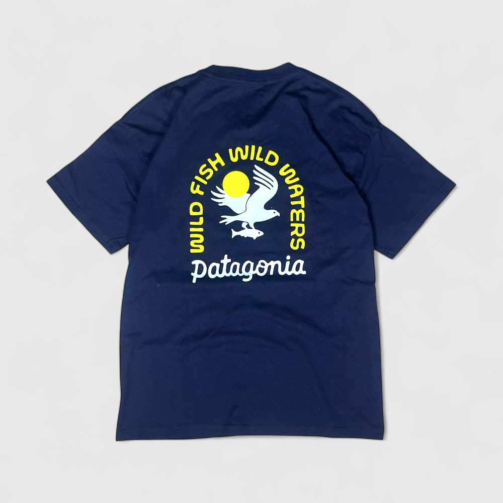 Patagonia