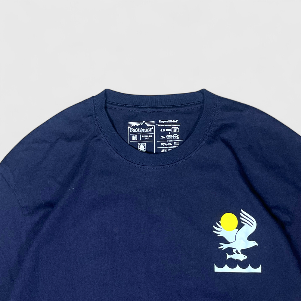 Patagonia